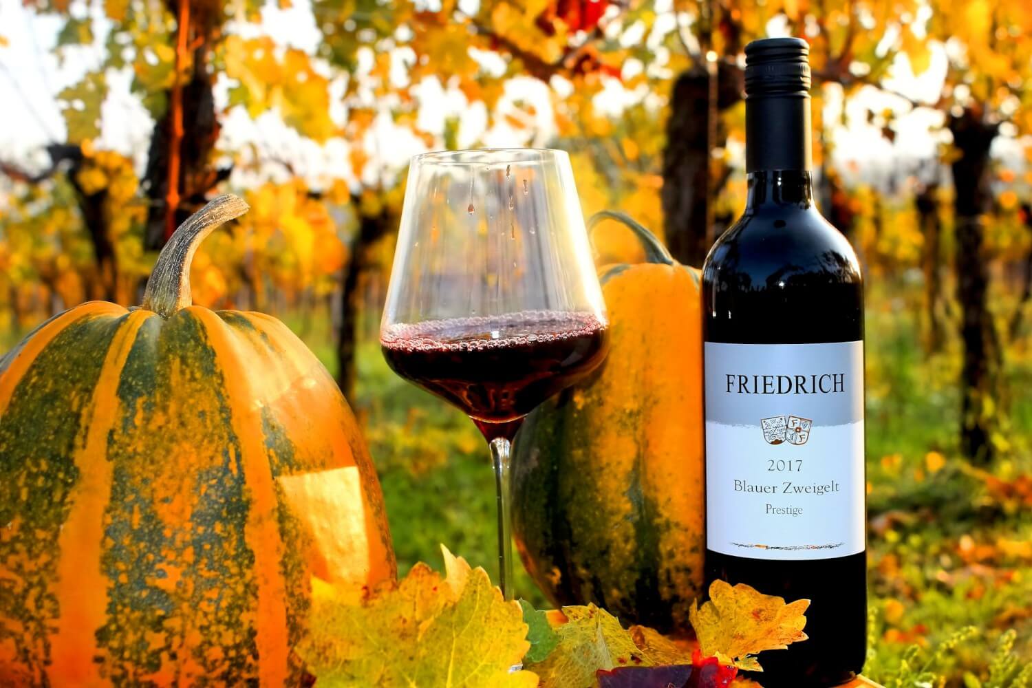 Featured image for “Herbstpackage mit einer Auswahl an tollen Weiß- und Rotweinen – Jetzt Entdecken!”