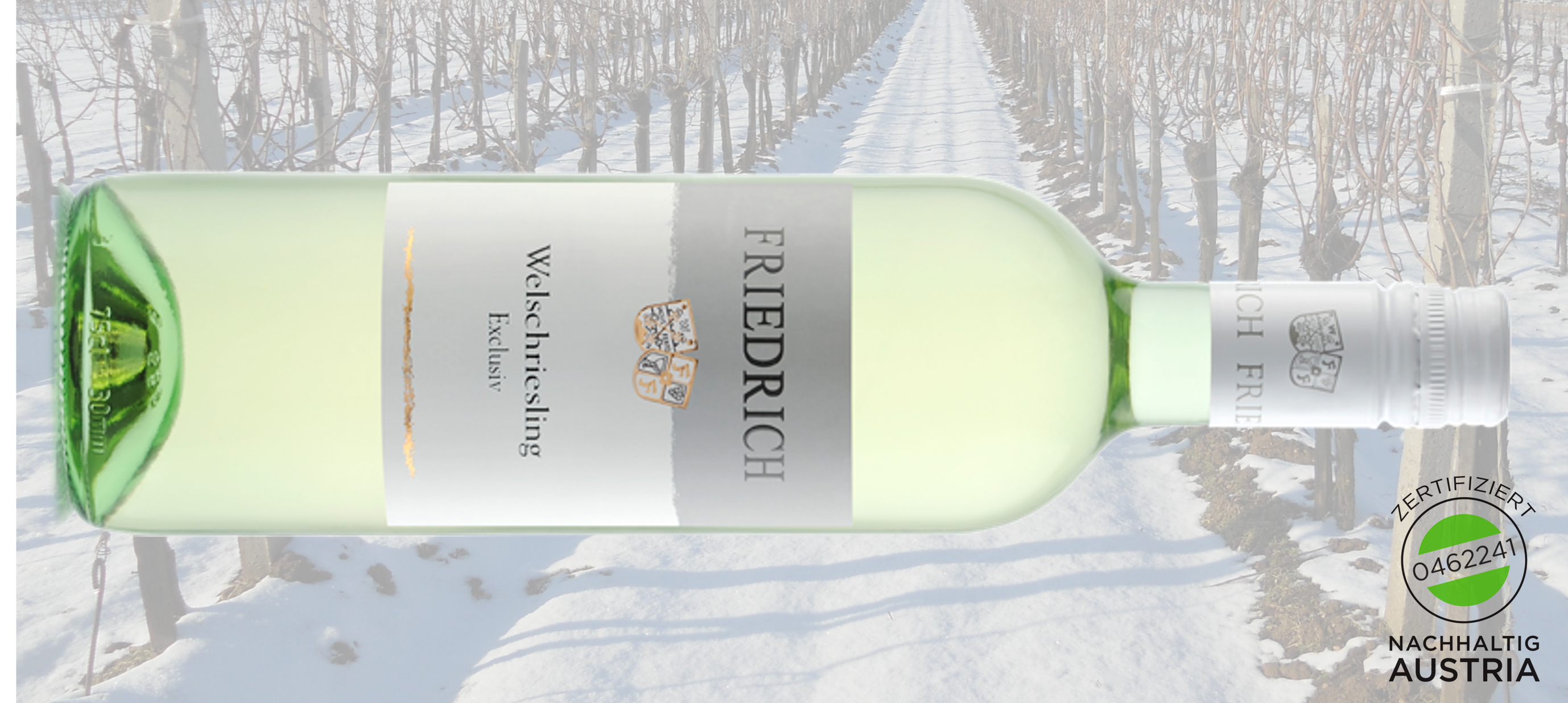 Featured image for “WELSCHRIESLING EXCLUSIV 2023 – Wein des Monats im Jänner”